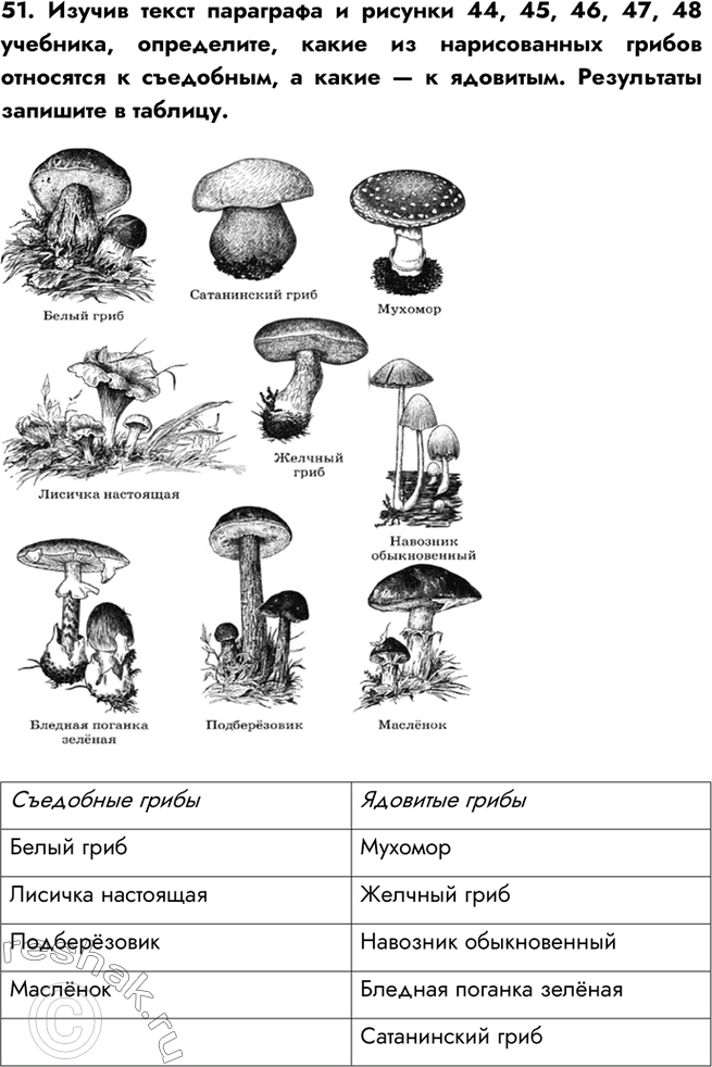  51.      44, 45, 46, 47, 48 , ,       ,     . ...