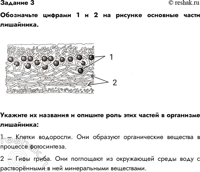   3  1  2     .          :1   ....