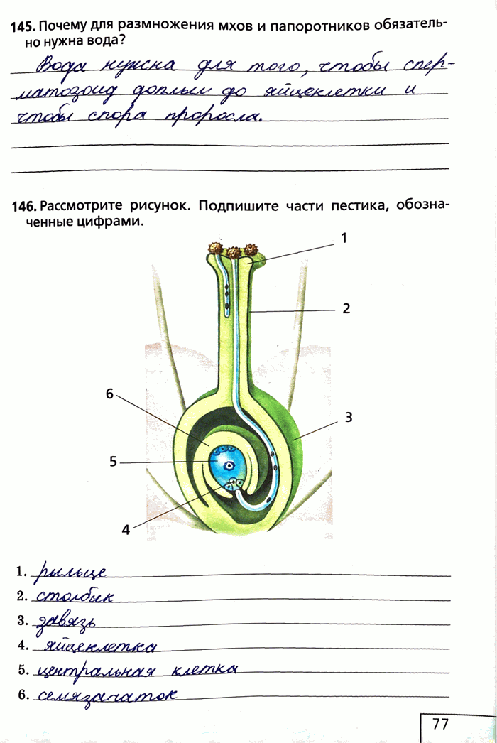  145.         ?146.  .   , ...