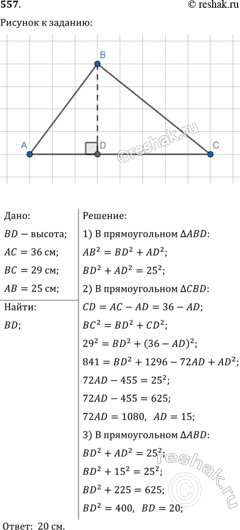  557.    36 , 29   25 .   ,   ...