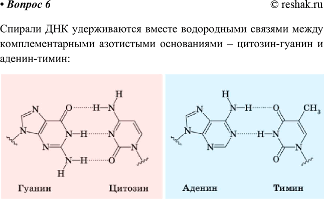  6.        ?          ...