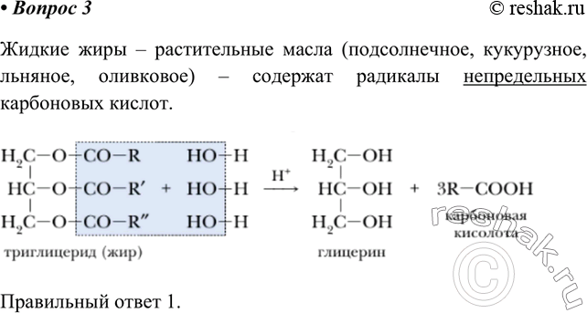  3.     1)      2)      3)  4)...